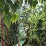 बीएमसीच्या 1,348 कोटींच्या प्राइम लोअर परळ प्लॉटसाठी चार बोलीदार रिंगणात