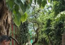 बीएमसीच्या 1,348 कोटींच्या प्राइम लोअर परळ प्लॉटसाठी चार बोलीदार रिंगणात