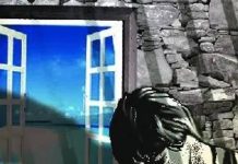 एका महिन्यात spl किशोर पोलिस युनिट्स स्थापन करा: राज्य पॅनेल