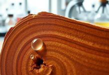 मेणाचा सापळा: तुमची पॉलिशिंग दिनचर्या का तुमच्या लाकडाच्या फर्निचरची नैसर्गिक चमक लुटत आहे |