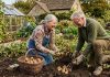 बटाटे वाढवण्यासाठी सर्वोत्तम वेळ: ब्रिटीश घरगुती बागांमध्ये बटाटे कधी वाढवायचे |