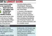 2100 पर्यंत फॉरेस्ट कार्बन 97% पर्यंत वाढेल, मुख्य इकोसिस्टम कमकुवत होऊ शकतात: अभ्यास
