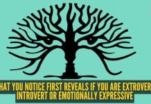 ऑप्टिकल भ्रम व्यक्तिमत्व चाचणी: झाड, डोळे, दोन चेहरे? तुम्ही बहिर्मुखी, अंतर्मुखी किंवा भावनिक दृष्ट्या अभिव्यक्त असाल तर तुमच्या लक्षात आलेले प्रथम |