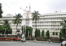 मंत्रालयाच्या टाकीत एकही मांजर बुडाले नाही, असे पीडब्ल्यूडीचे म्हणणे आहे