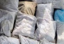 मुंबईत 1,745 कोटींचे कोकेन जप्त; अमित शहा यांनी निर्दयी कारवाईची शपथ घेतली