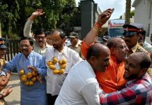 आंबा, काजू उत्पादक शेतकरी जास्त मोबदला घेतात