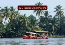 IMD ने अनेक जिल्ह्यांमध्ये यलो अलर्ट जारी केल्यामुळे केरळमध्ये अधिक मुसळधार पावसाची शक्यता आहे; प्रवाशांना काय माहित असणे आवश्यक आहे
