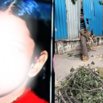 मुंबईत खारचे झाड कोसळले: एका आठवड्यानंतर ब्रेन-डेड तरुणाचे निधन; बिल्डरवर निर्दोष हत्येचा गुन्हा दाखल
