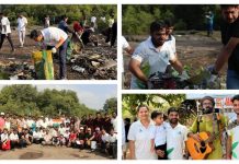 नागरिक चळवळीने 300 आठवड्यांत महाराष्ट्रातील खारफुटीतून 1,200 टन कचरा साफ केला
