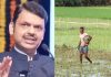 पेरणीची घाई करू नका, १५ जूनपर्यंत मान्सूनचा पाऊस कमजोर राहण्याची शक्यता: महाराष्ट्राचे मुख्यमंत्री देवेंद्र फडणवीस