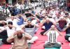 पहा: मुंबई भाजप अल्पसंख्याक मोर्चाने मिनारा मशिदीत योग सत्राचे आयोजन केले