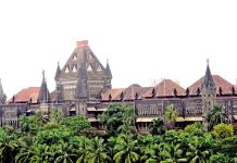 मुंबई उच्च न्यायालयाने पालघरमधील वाढवण बंदर प्रकल्पाकडे जाणाऱ्या रस्त्यासाठी खारफुटी साफ करण्यास परवानगी दिली आहे