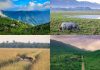 भारतात भेट देण्यासाठी 7 सर्वात सुंदर गवताळ प्रदेश