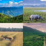 भारतात भेट देण्यासाठी 7 सर्वात सुंदर गवताळ प्रदेश