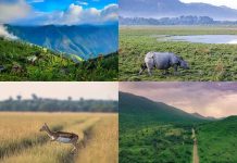 भारतात भेट देण्यासाठी 7 सर्वात सुंदर गवताळ प्रदेश