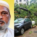 मुंबईत पावसाची आणखी एक शोकांतिका : झाड कोसळून ६३ वर्षीय वृद्धाचा मृत्यू झाला