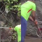 कोर्टल्लम फॉल्स स्नेक इन्सिडेंट: कोर्टल्लम फॉल्स येथे सापाच्या भीतीने पर्यटक स्तब्ध झाले, अभ्यागत जवळच साप कापत असताना एकमेकांना ढकलताना दिसले; बचावाचा व्हिडिओ व्हायरल