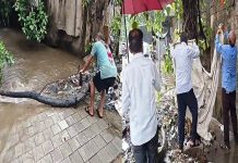 उल्हासनगर- ३ मधील मयूर हॉटेल ते सेंट्रल हॉस्पिटल रोडची दुरावस्था; शाळकरी मुलगा नाल्यात पडल्याने नागरिकांमध्ये संताप
