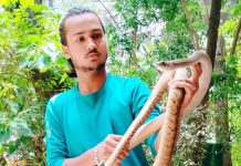 अंबरनाथ पूर्वेतील प्रिसियेस गॅलेक्सीमध्ये कारच्या बोनटमध्ये शिरलेल्या ५ फूट लांबीच्या धामण सापाची सुरक्षित सुटका