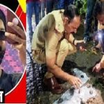 उल्हासनगरात पूर्व वैमनस्यातून तरुणाची धारदार चाकूने सपासप वार करून निर्घृण हत्या : मारेकरी अटकेत