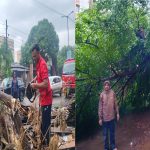 मुसळधार पावसात अंबरनाथ मध्ये जवळपास १२ झाडे कोसळली : अंबरनाथ अग्निशामन दलाच्या कर्मचाऱ्यांनी झाडे पूर्ण तोडून वाहतुकीसाठी रस्ते केले मोकळे